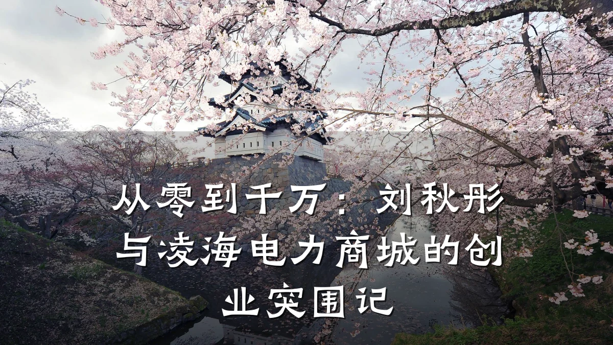 从零到千万：刘秋彤与凌海电力商城的创业突围记