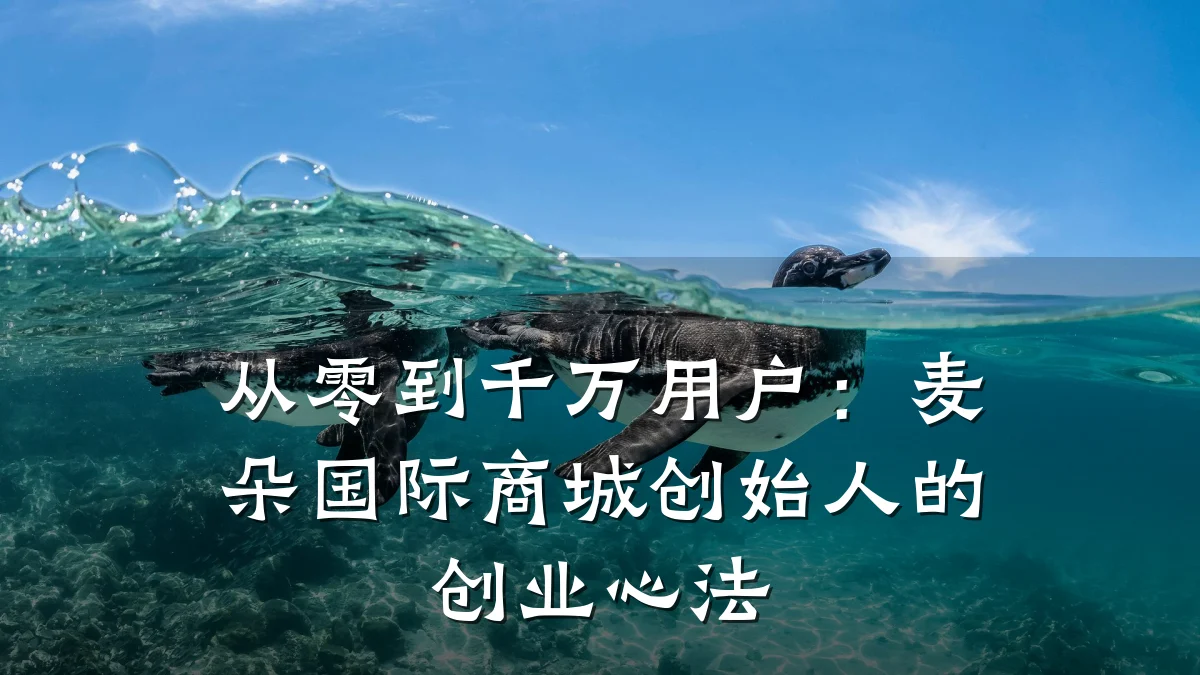 从零到千万用户:麦朵国际商城创始人的创业心法