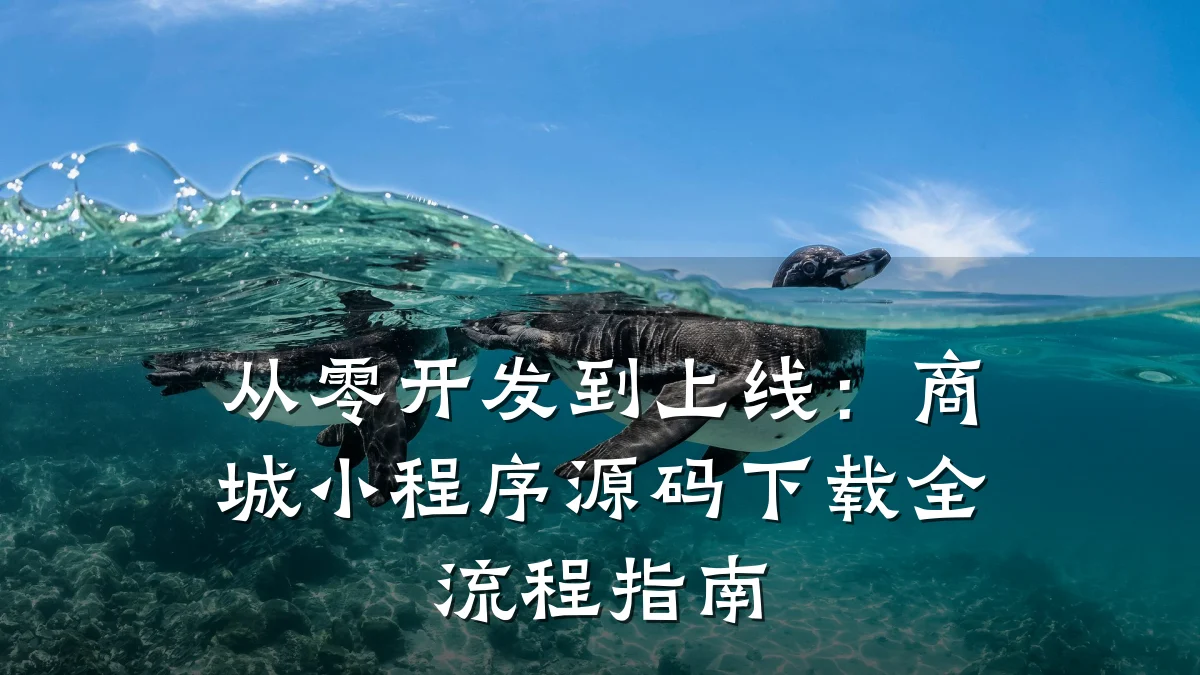 从零开发到上线:商城小程序源码下载全流程指南