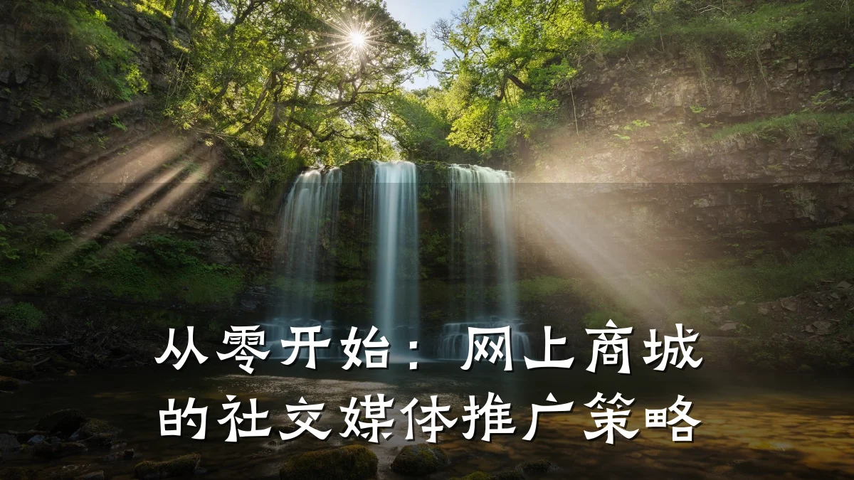 从零开始:网上商城的社交媒体推广策略
