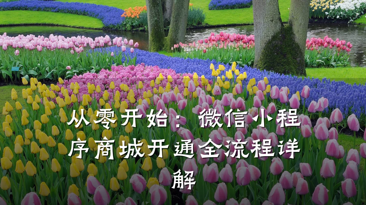 从零开始：微信小程序商城开通全流程详解
