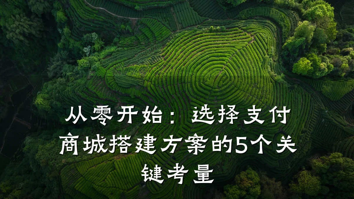 从零开始:选择支付商城搭建方案的5个关键考量