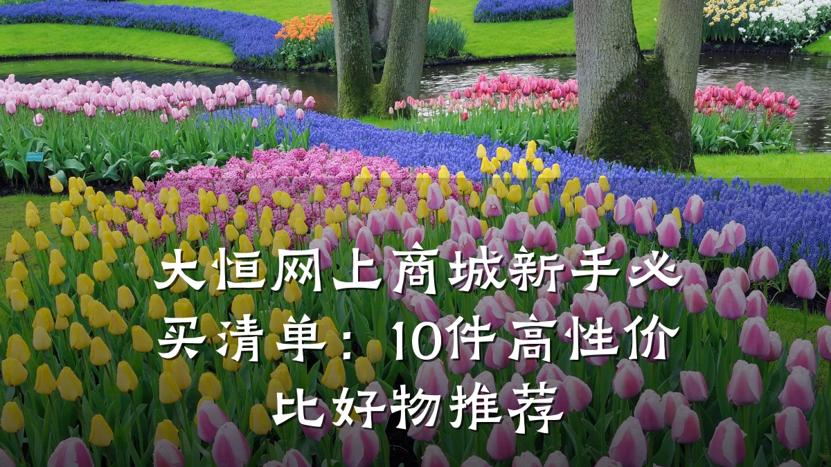 大恒网上商城新手必买清单:10件高性价比好物推荐