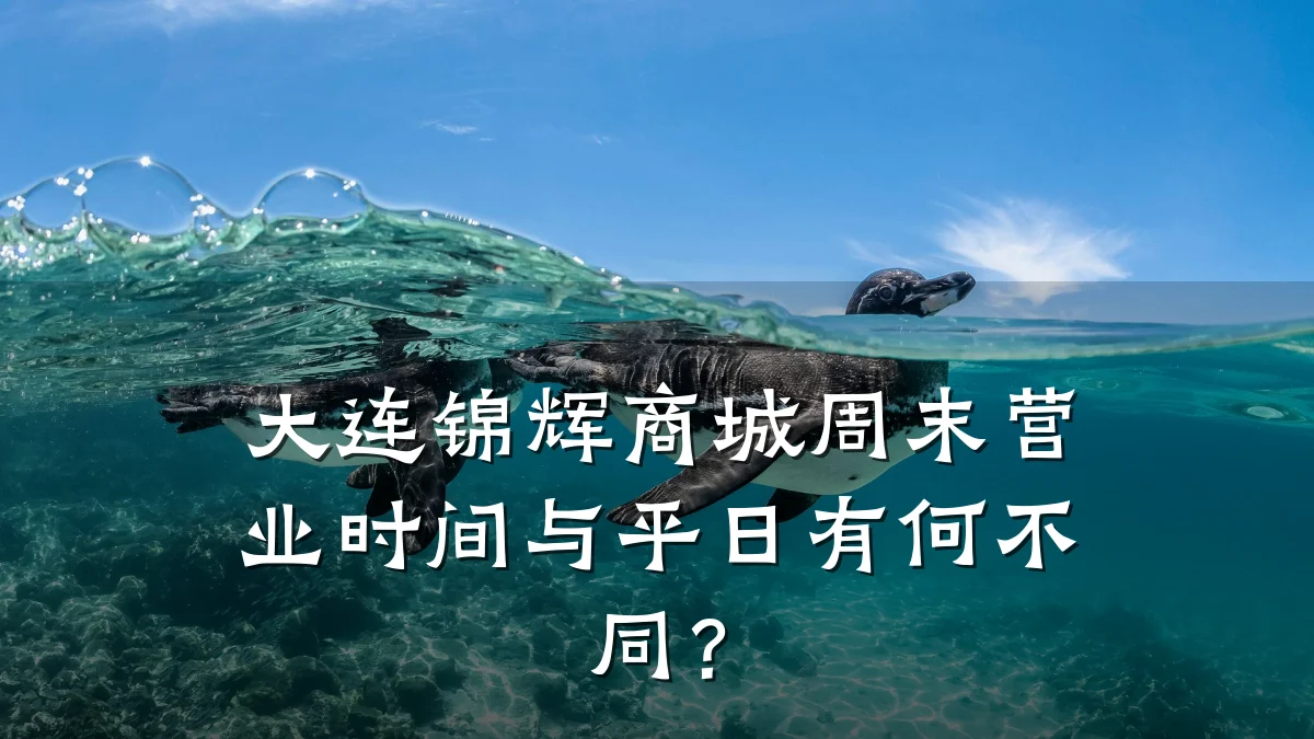 大连锦辉商城周末营业时间与平日有何不同？