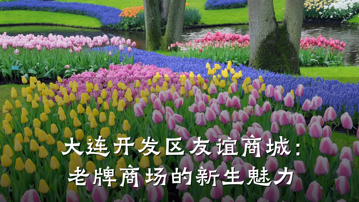 大连开发区友谊商城：老牌商场的新生魅力