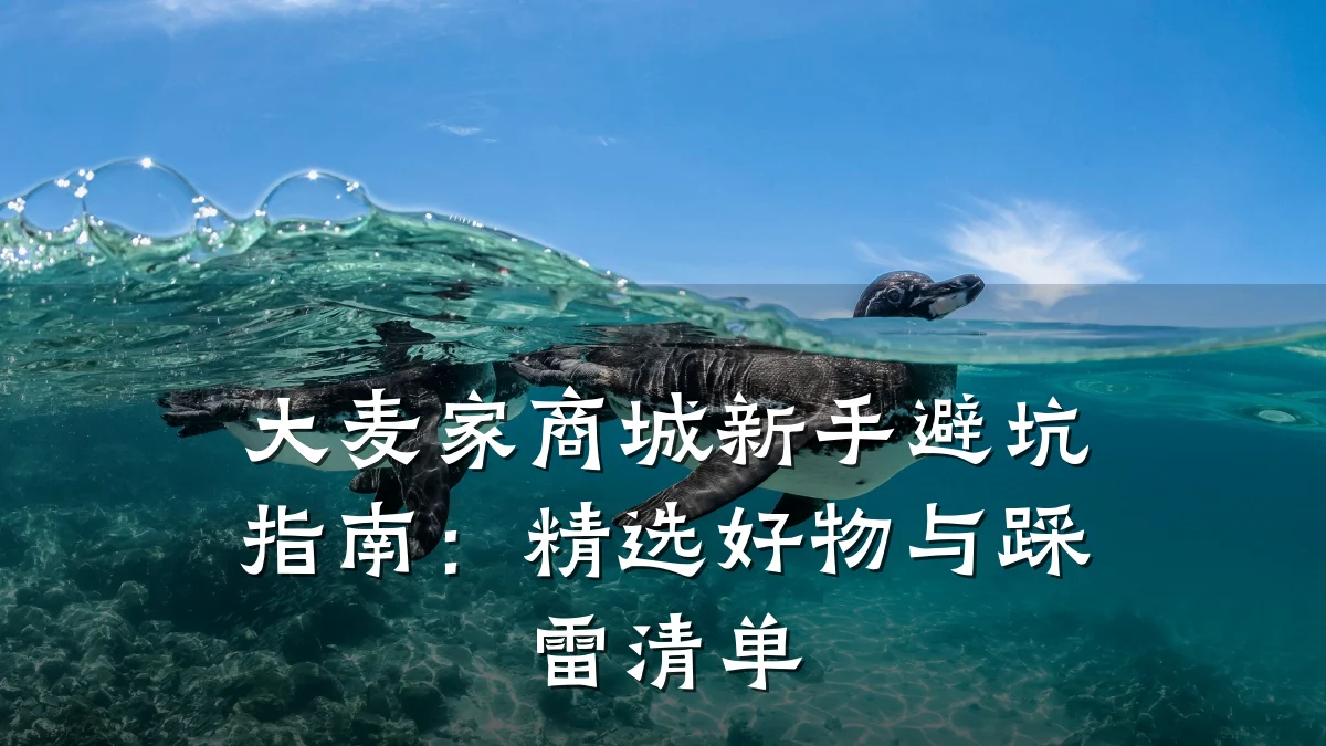 大麦家商城新手避坑指南:精选好物与踩雷清单