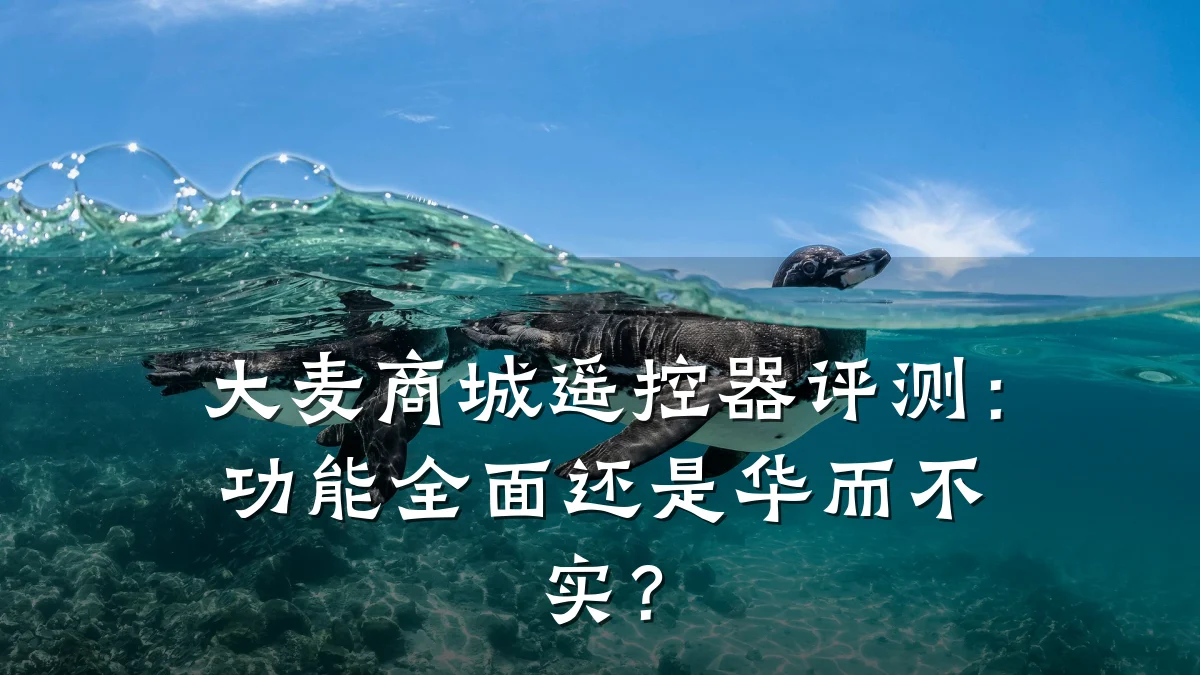 大麦商城遥控器评测:功能全面还是华而不实?