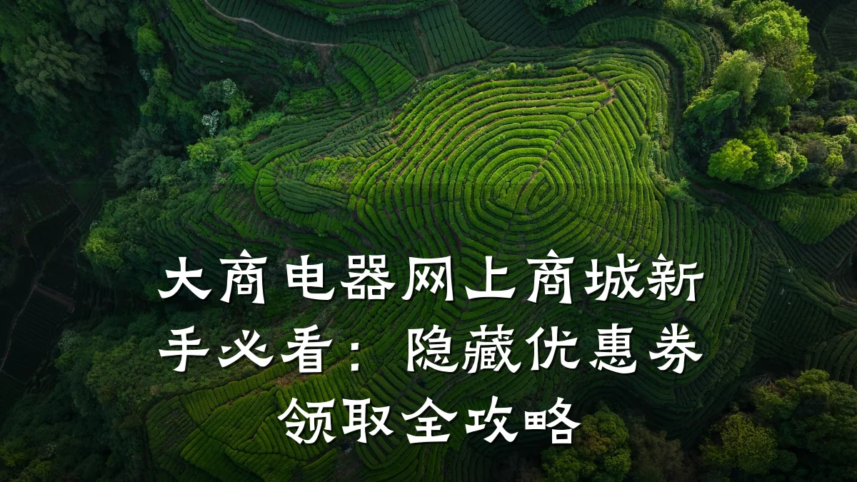 大商电器网上商城新手必看:隐藏优惠券领取全攻略