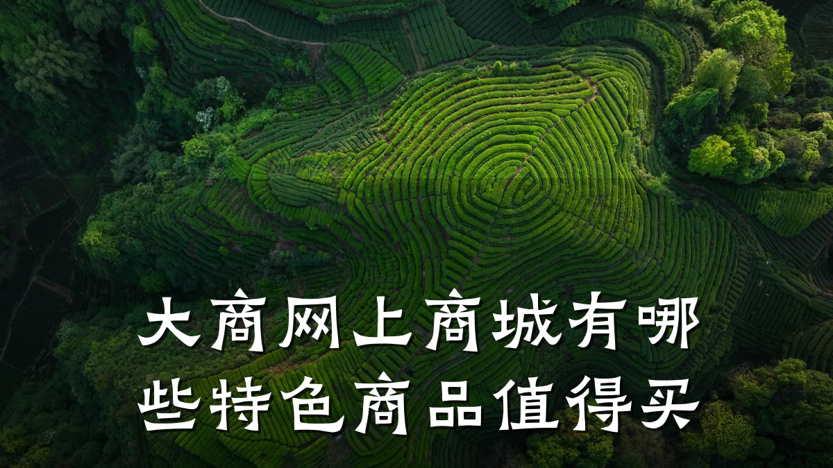 大商网上商城有哪些特色商品值得买