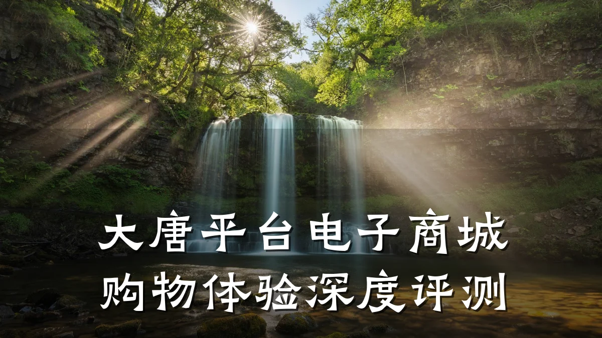 大唐平台电子商城购物体验深度评测