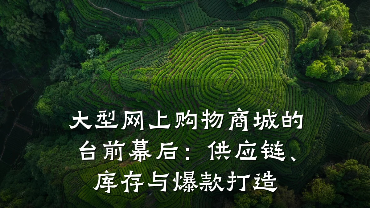 大型网上购物商城的台前幕后:供应链、库存与爆款打造