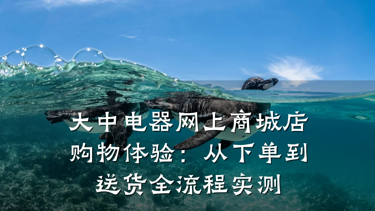 大中电器网上商城店购物体验：从下单到送货全流程实测