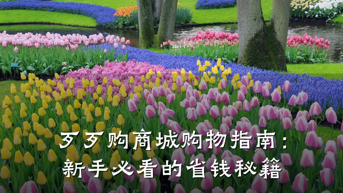 歹歹购商城购物指南：新手必看的省钱秘籍