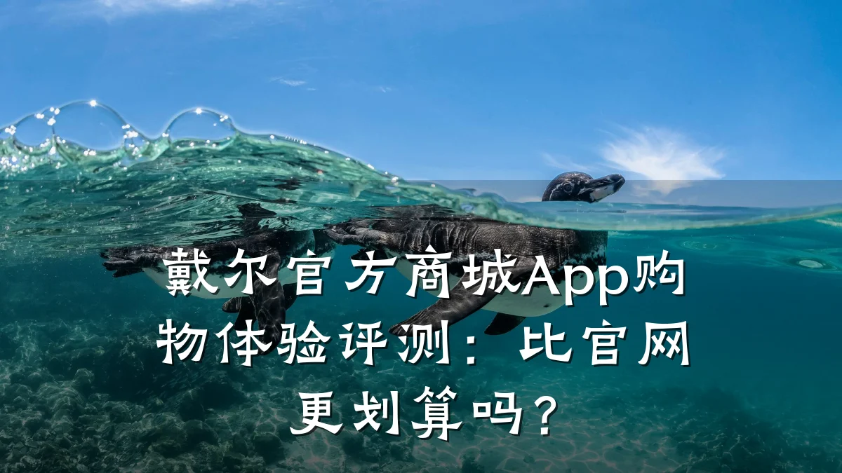 戴尔官方商城App购物体验评测：比官网更划算吗？