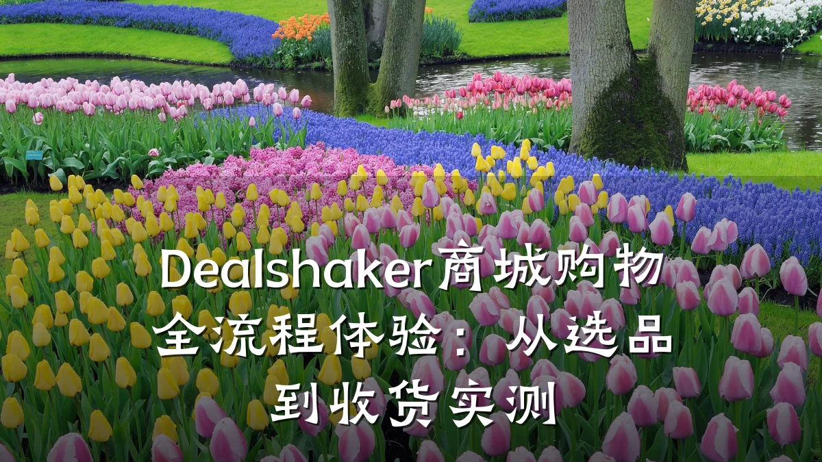 Dealshaker商城购物全流程体验:从选品到收货实测