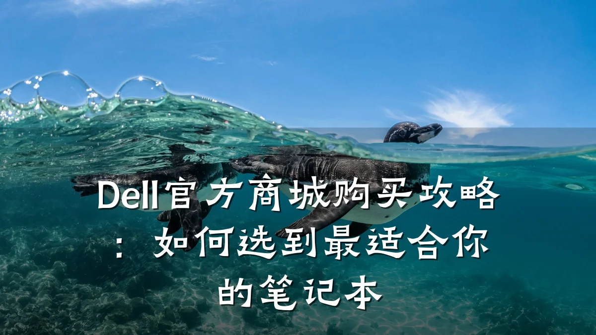Dell官方商城购买攻略：如何选到最适合你的笔记本