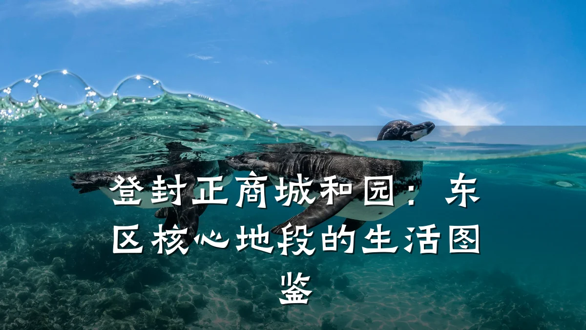 登封正商城和园：东区核心地段的生活图鉴