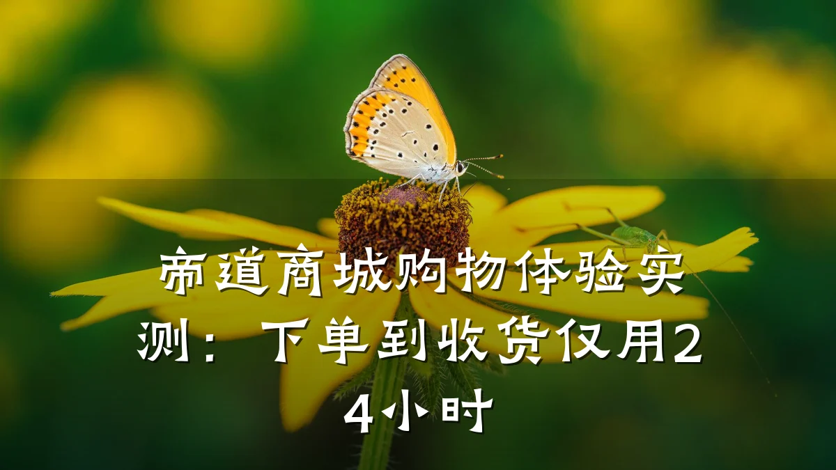 帝道商城购物体验实测：下单到收货仅用24小时
