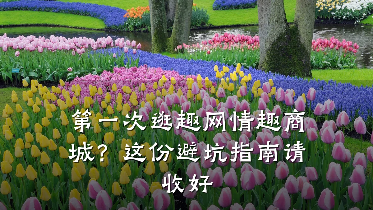 第一次逛趣网情趣商城?这份避坑指南请收好