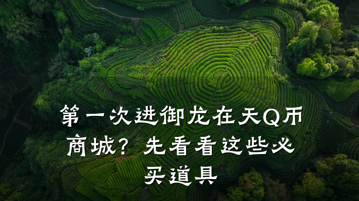第一次进御龙在天Q币商城？先看看这些必买道具