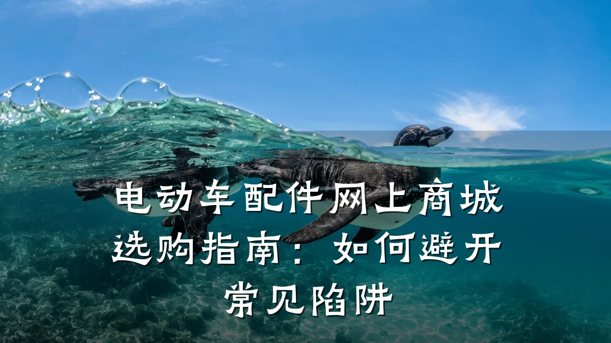 电动车配件网上商城选购指南:如何避开常见陷阱