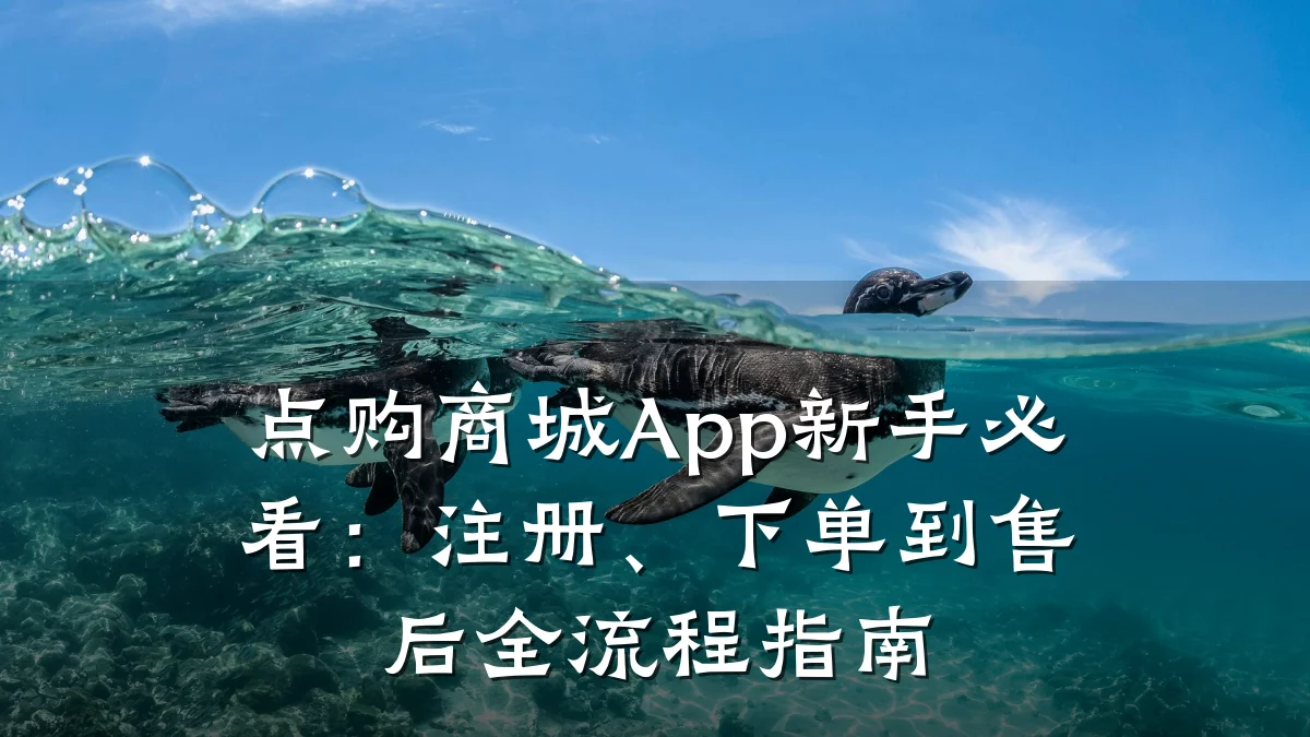 点购商城App新手必看:注册、下单到售后全流程指南