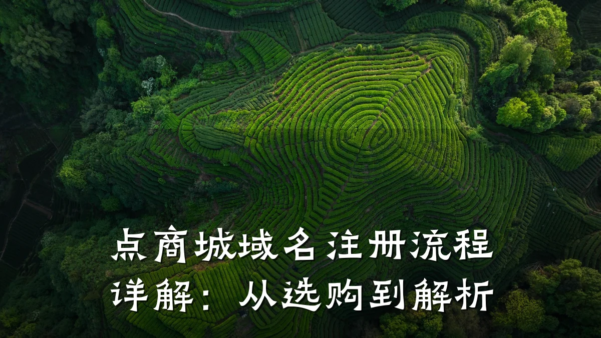 点商城域名注册流程详解:从选购到解析