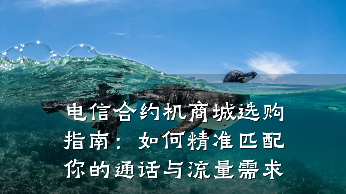 电信合约机商城选购指南：如何精准匹配你的通话与流量需求