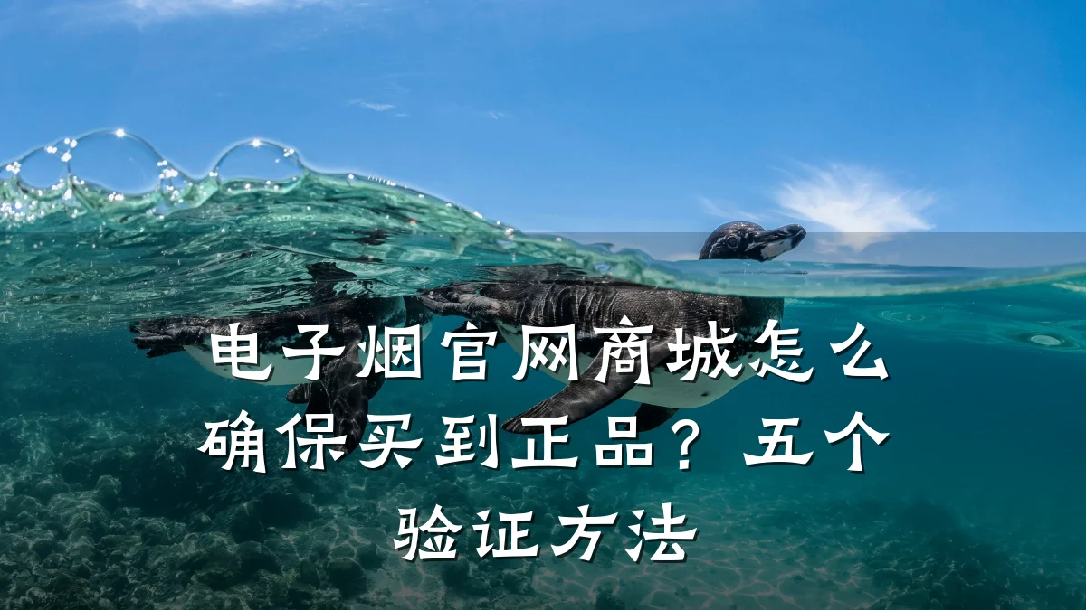 电子烟官网商城怎么确保买到正品？五个验证方法