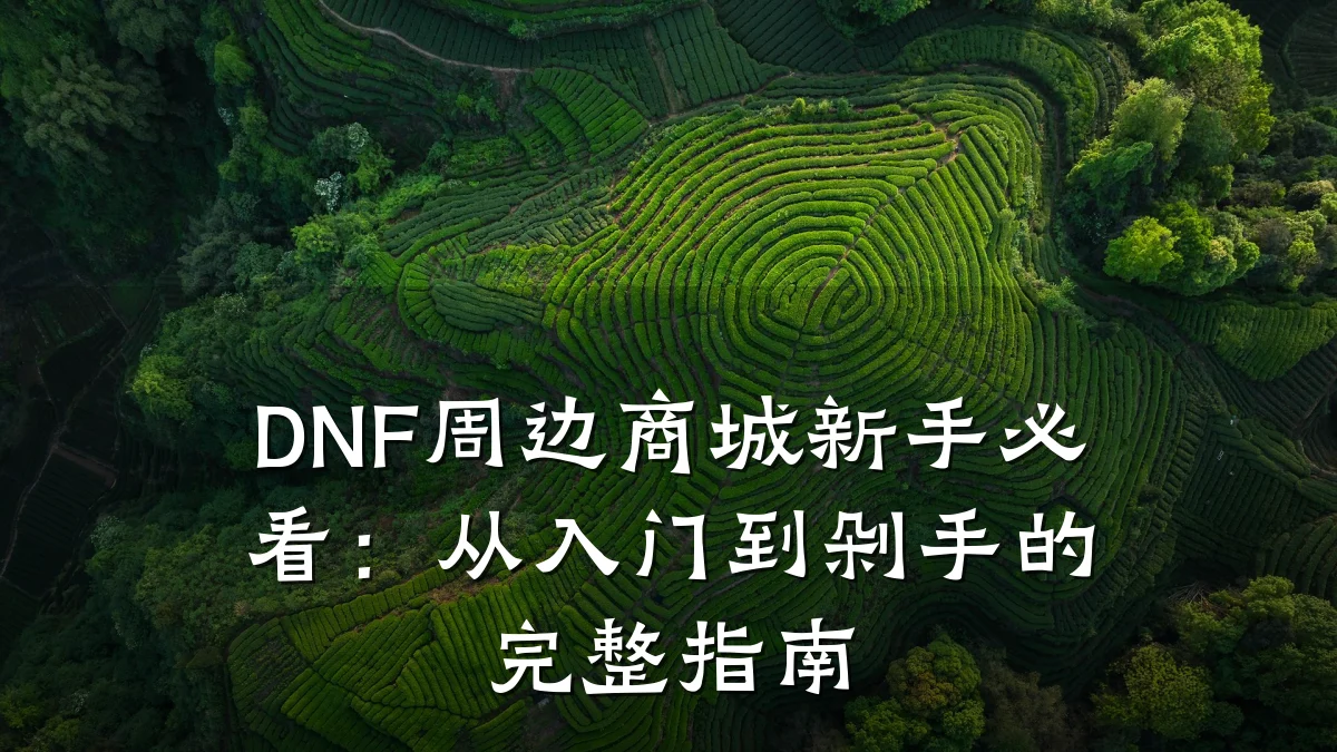 DNF周边商城新手必看:从入门到剁手的完整指南