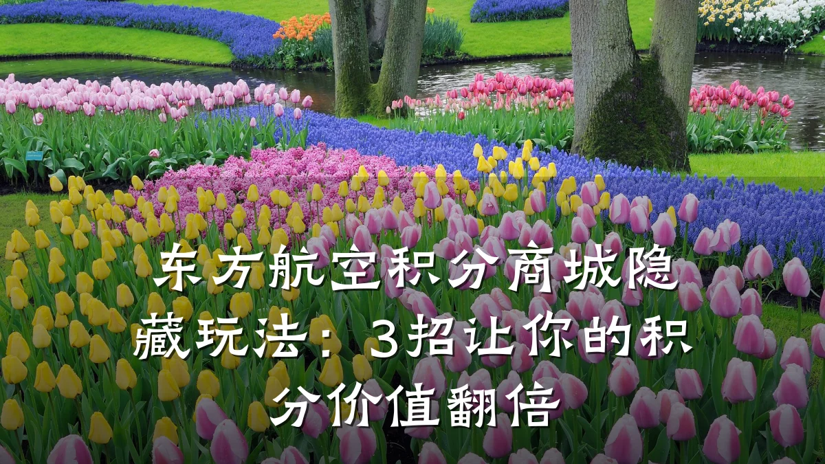 东方航空积分商城隐藏玩法：3招让你的积分价值翻倍
