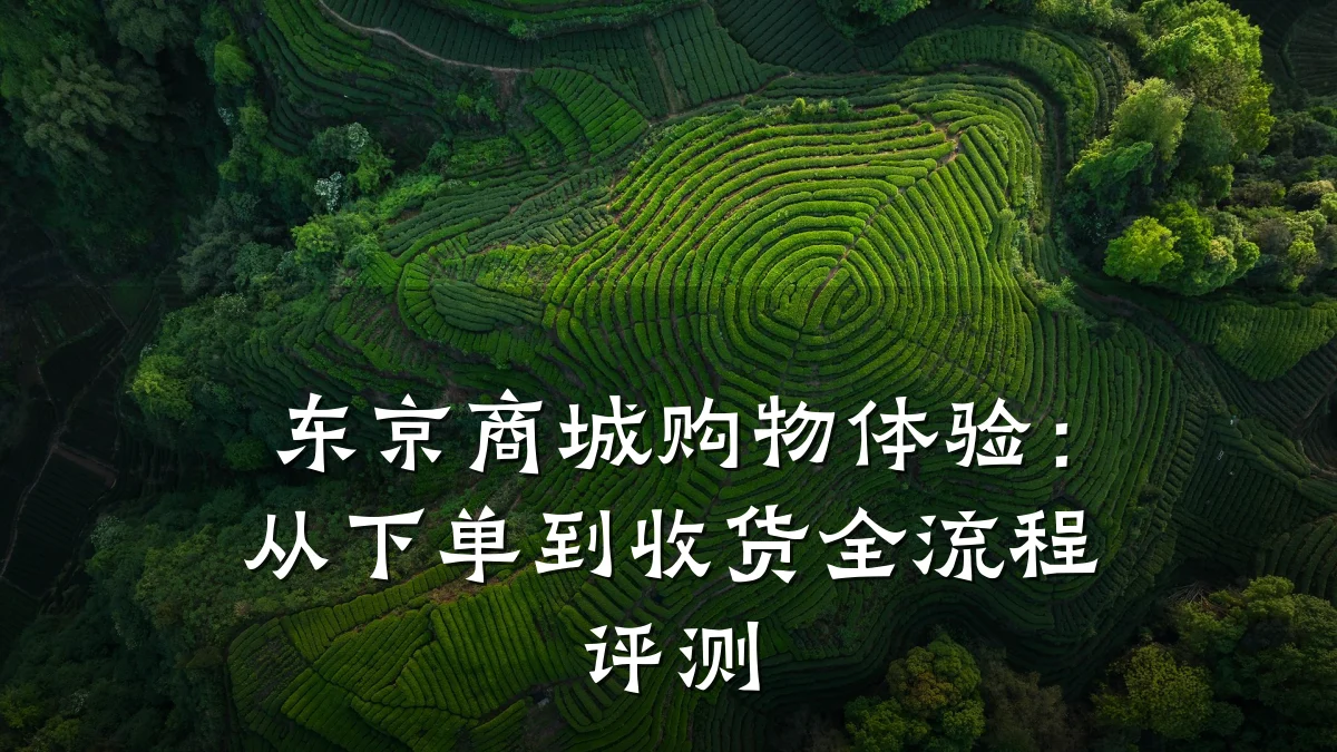 东京商城购物体验:从下单到收货全流程评测