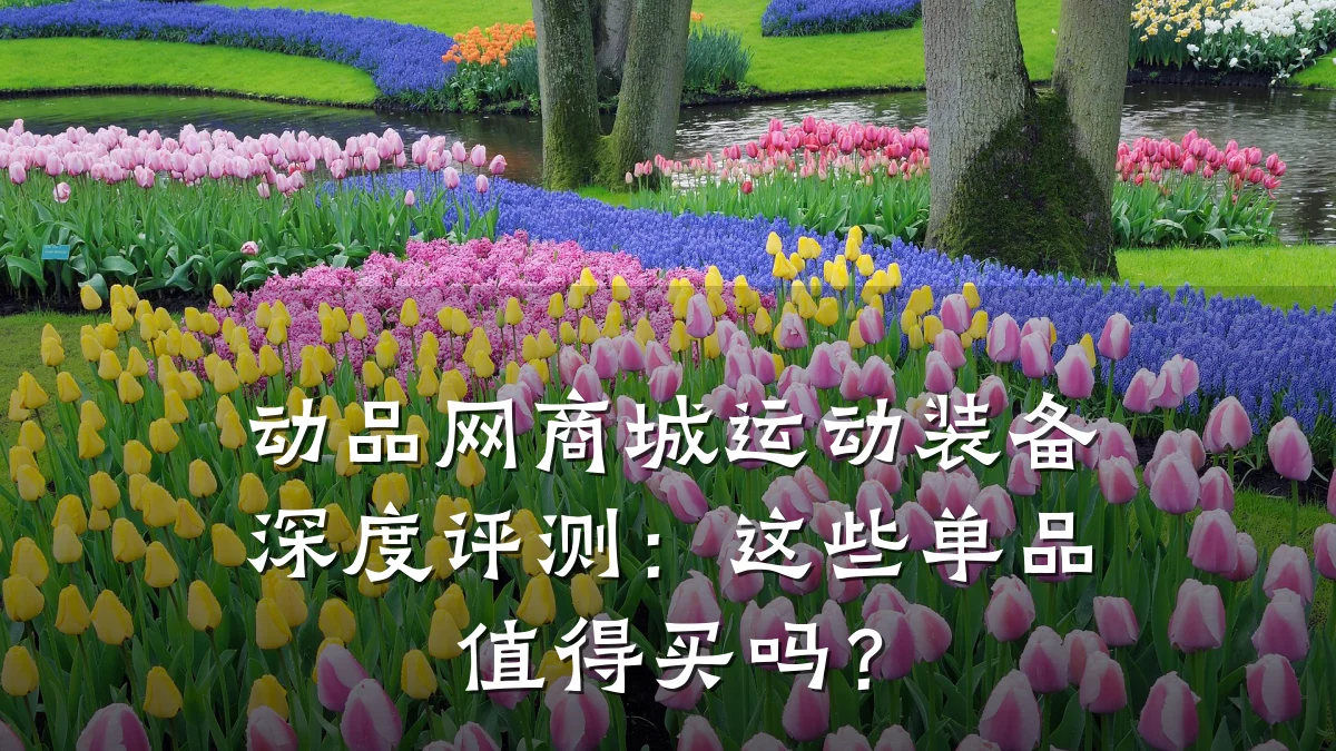 动品网商城运动装备深度评测：这些单品值得买吗？