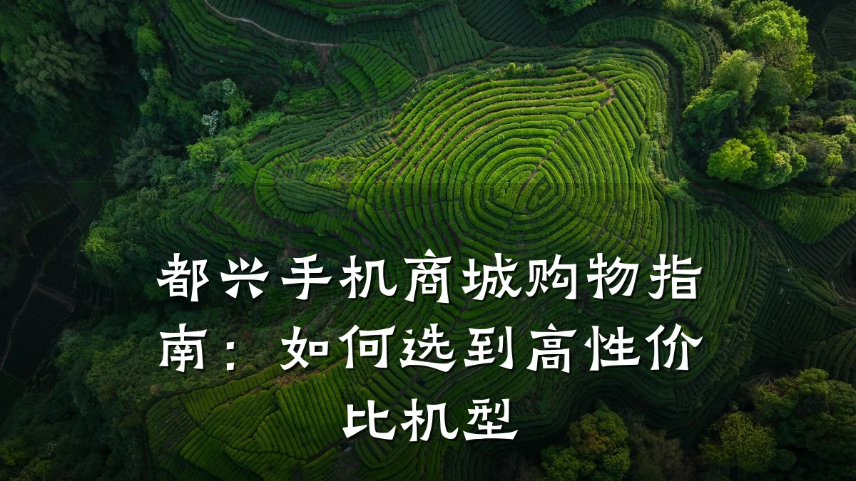都兴手机商城购物指南：如何选到高性价比机型