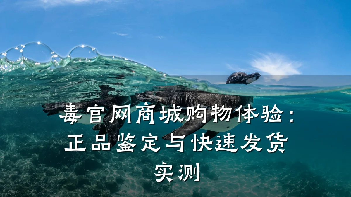 毒官网商城购物体验:正品鉴定与快速发货实测