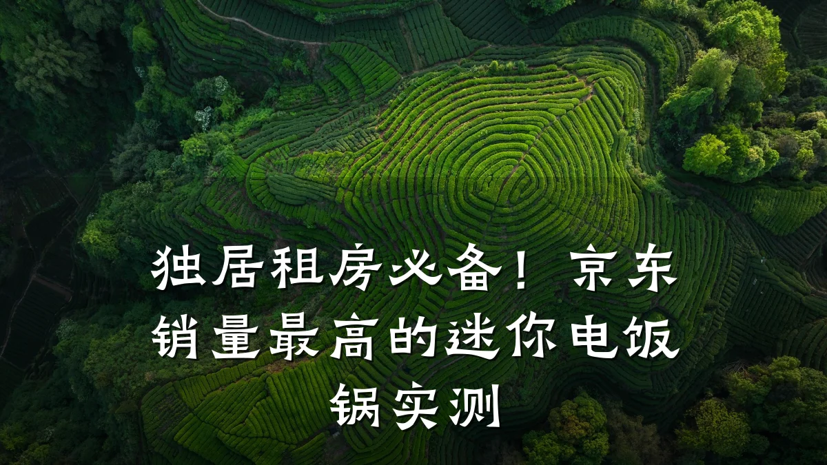 独居租房必备!京东销量最高的迷你电饭锅实测
