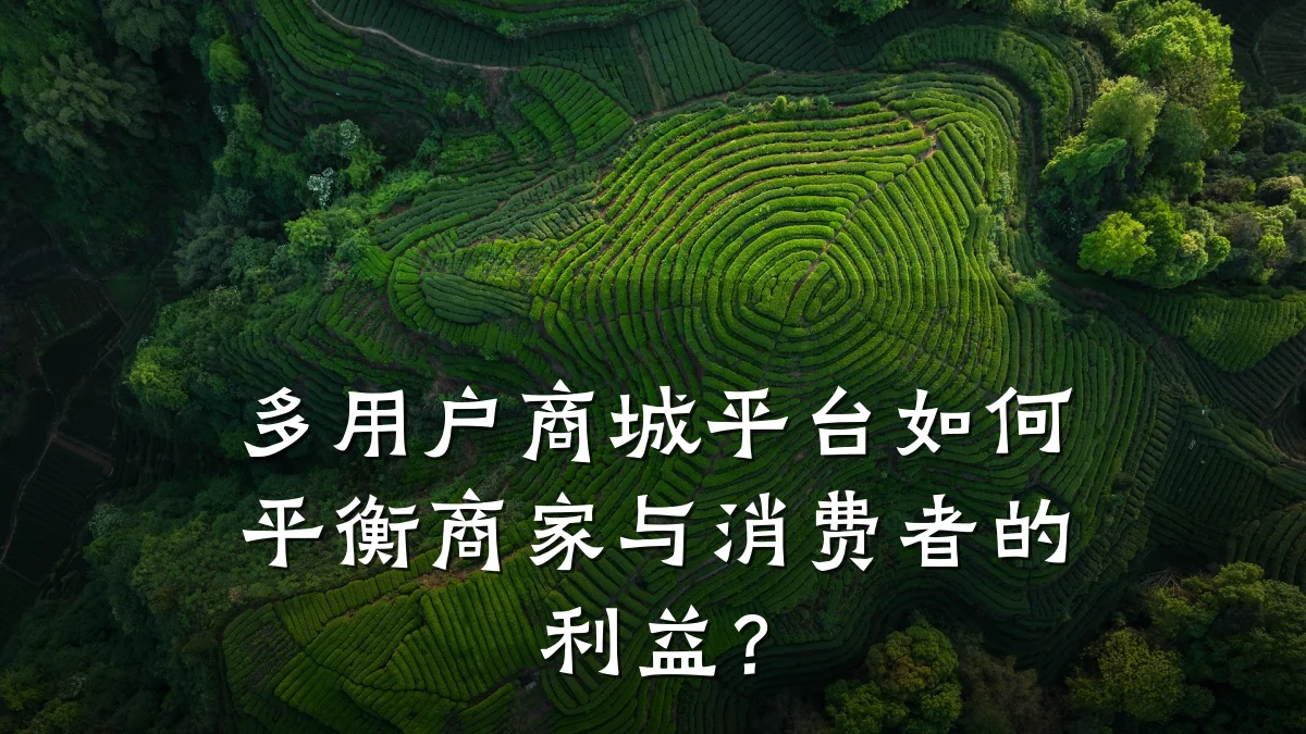 多用户商城平台如何平衡商家与消费者的利益？