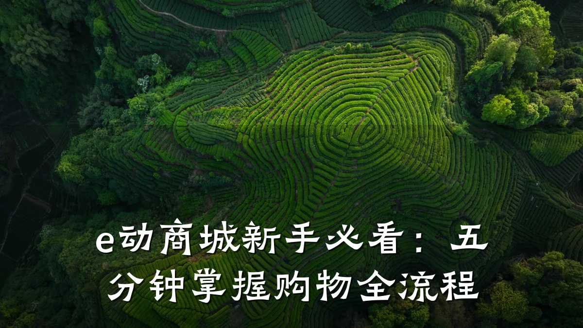 e动商城新手必看：五分钟掌握购物全流程