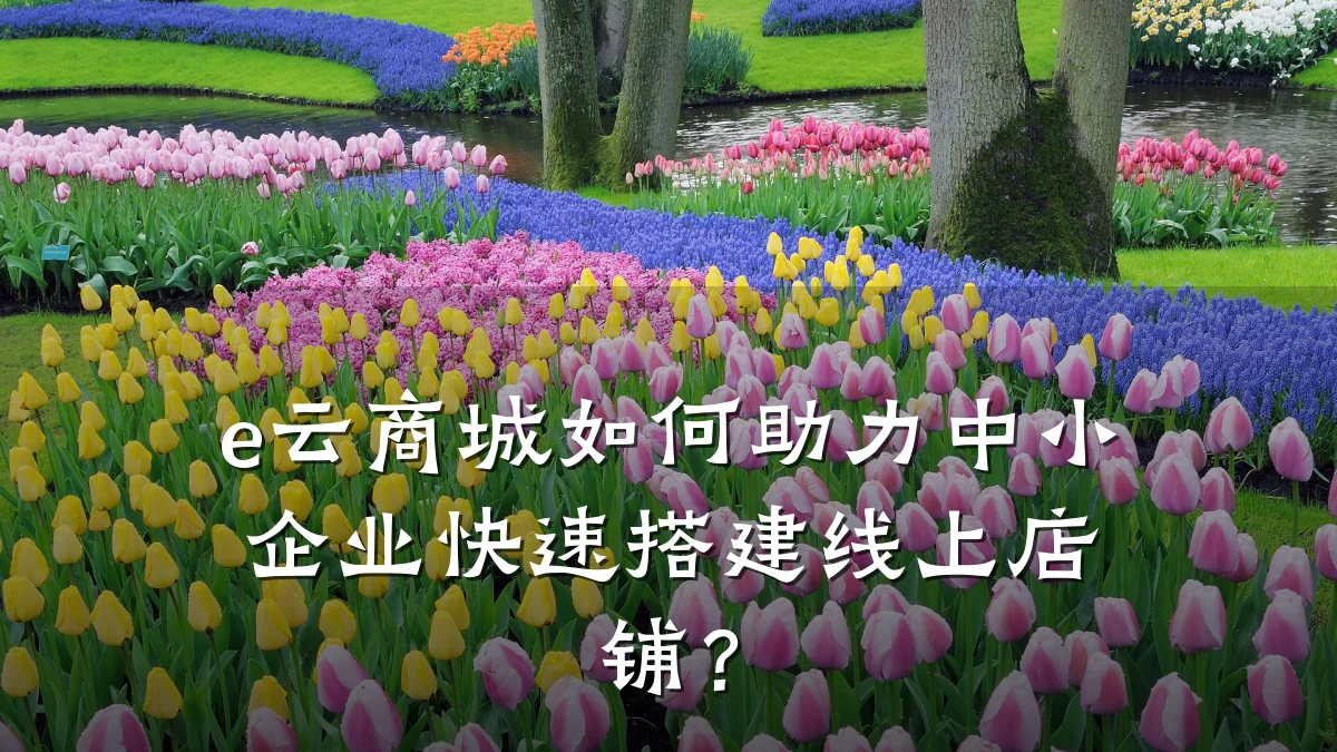 e云商城如何助力中小企业快速搭建线上店铺?