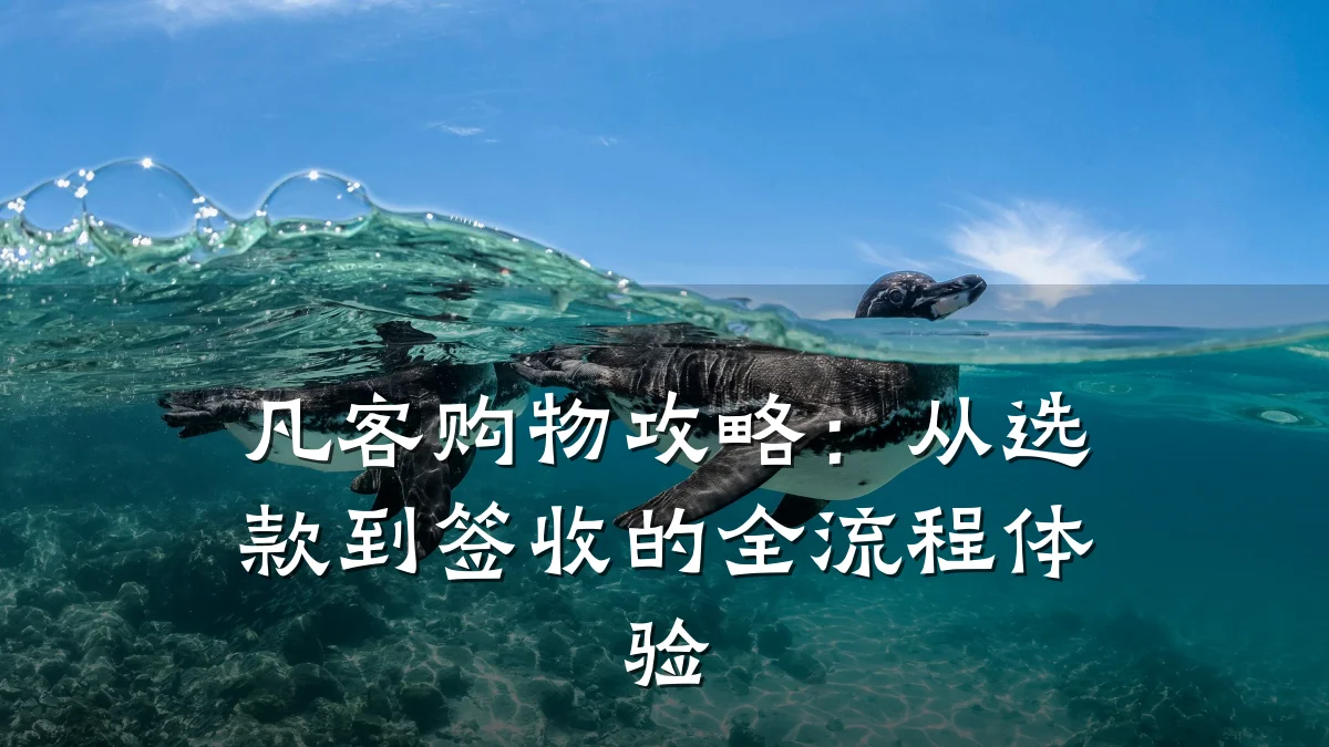 凡客购物攻略：从选款到签收的全流程体验