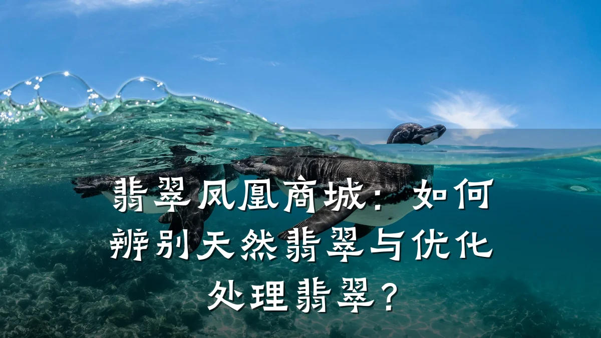 翡翠凤凰商城：如何辨别天然翡翠与优化处理翡翠？
