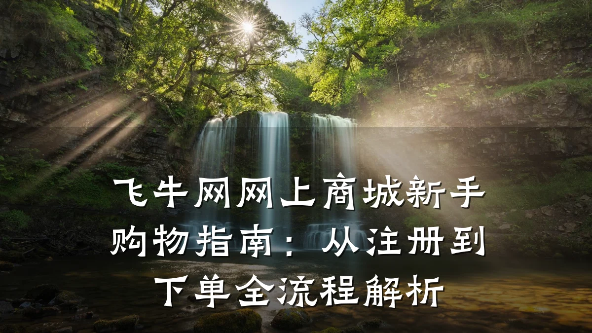 飞牛网网上商城新手购物指南：从注册到下单全流程解析