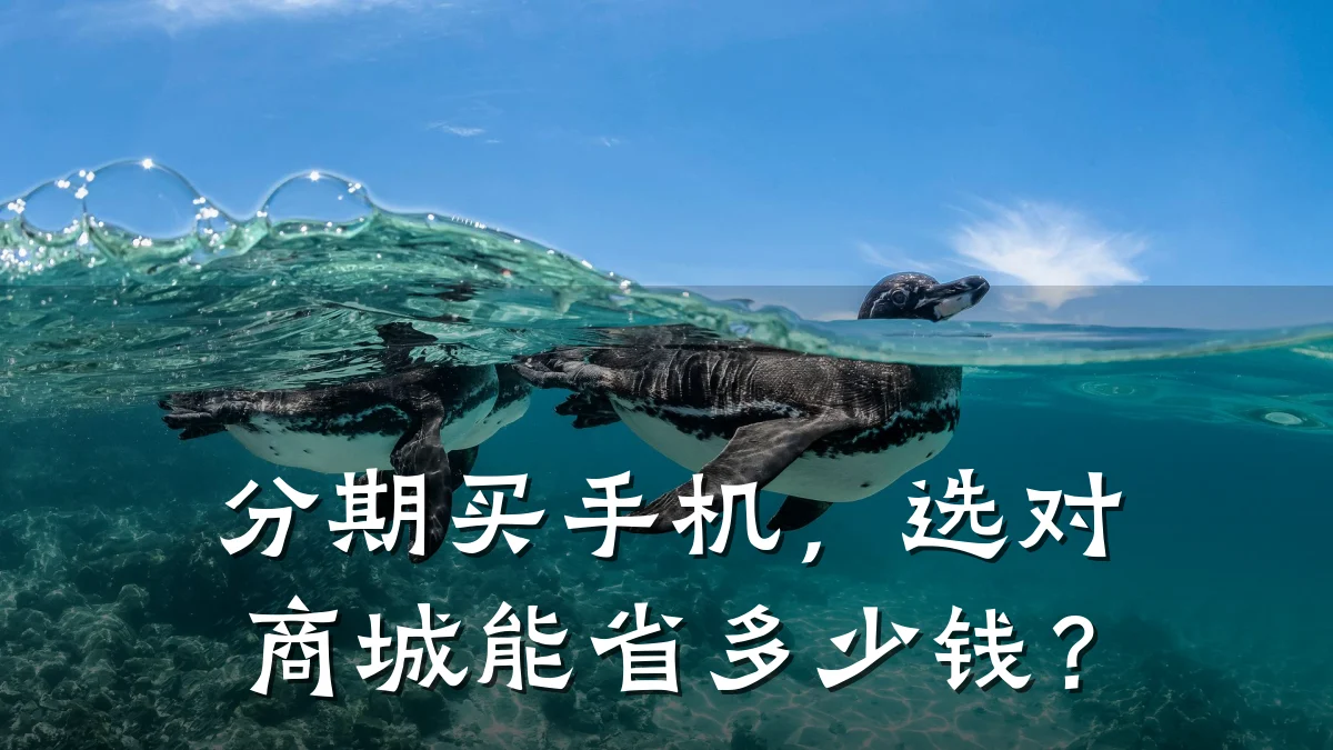 分期买手机,选对商城能省多少钱?