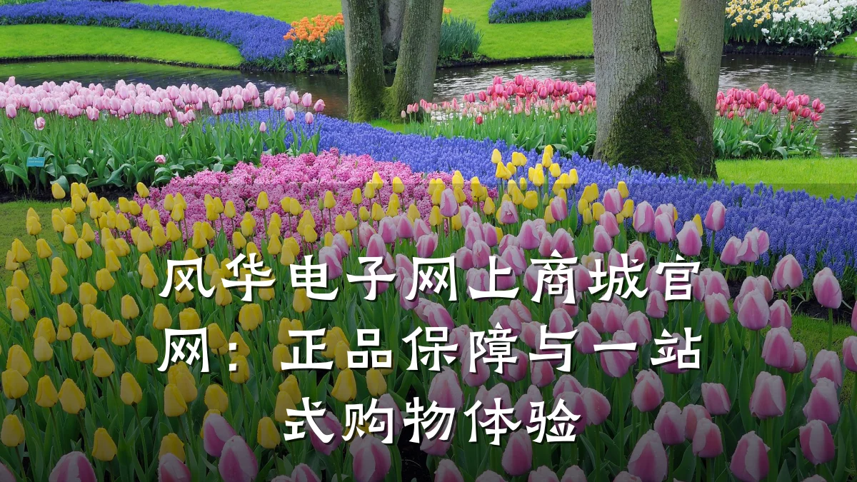 风华电子网上商城官网:正品保障与一站式购物体验
