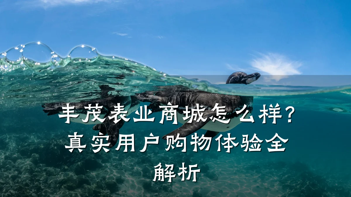 丰茂表业商城怎么样?真实用户购物体验全解析