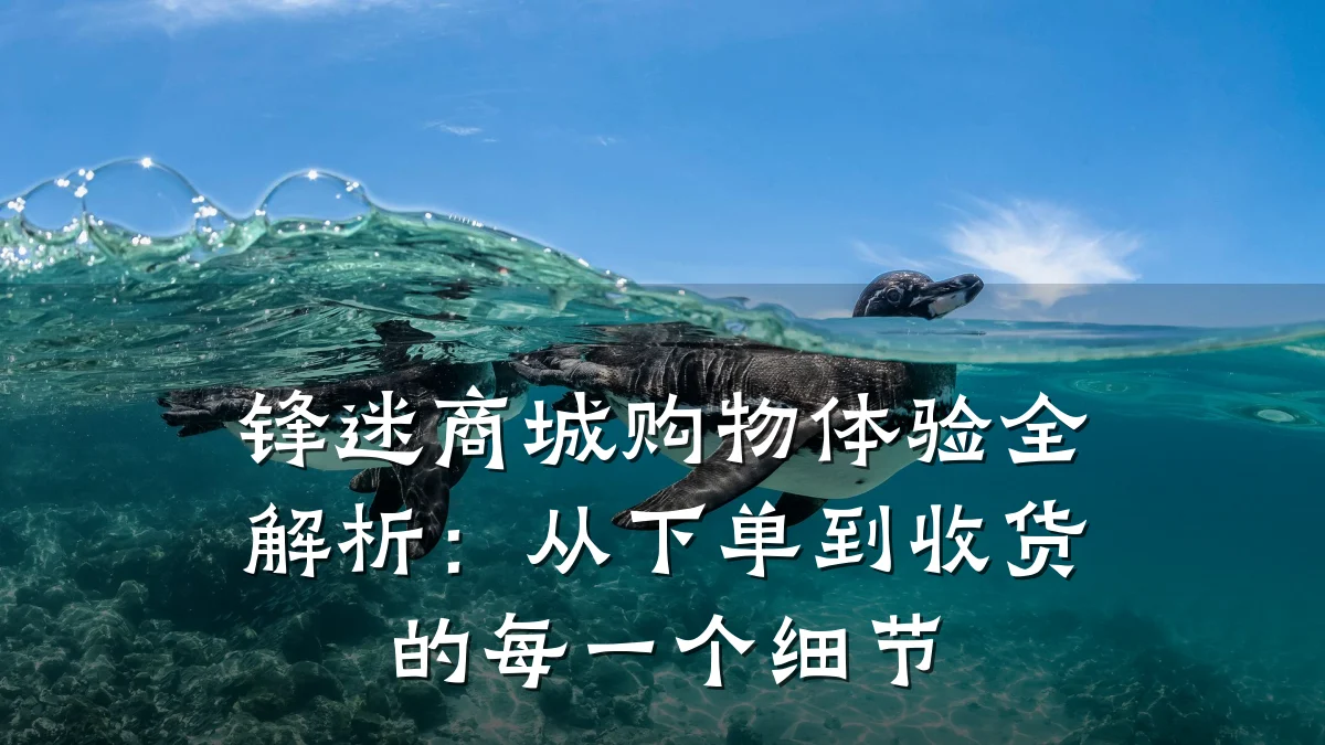 锋迷商城购物体验全解析：从下单到收货的每一个细节