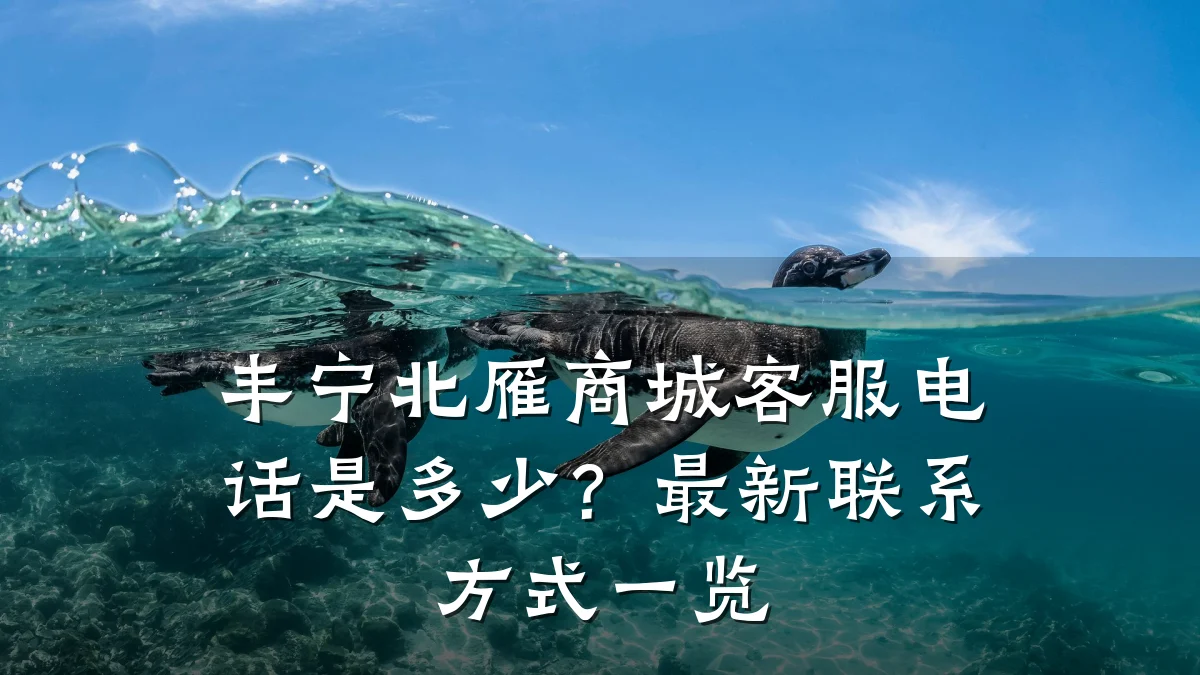 丰宁北雁商城客服电话是多少？最新联系方式一览