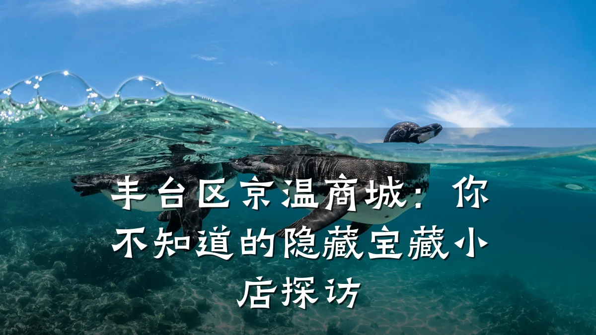 丰台区京温商城:你不知道的隐藏宝藏小店探访
