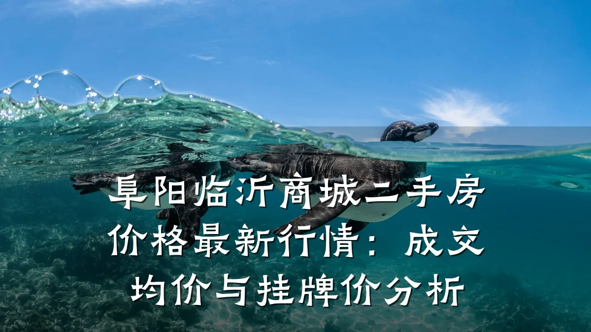 阜阳临沂商城二手房价格最新行情：成交均价与挂牌价分析