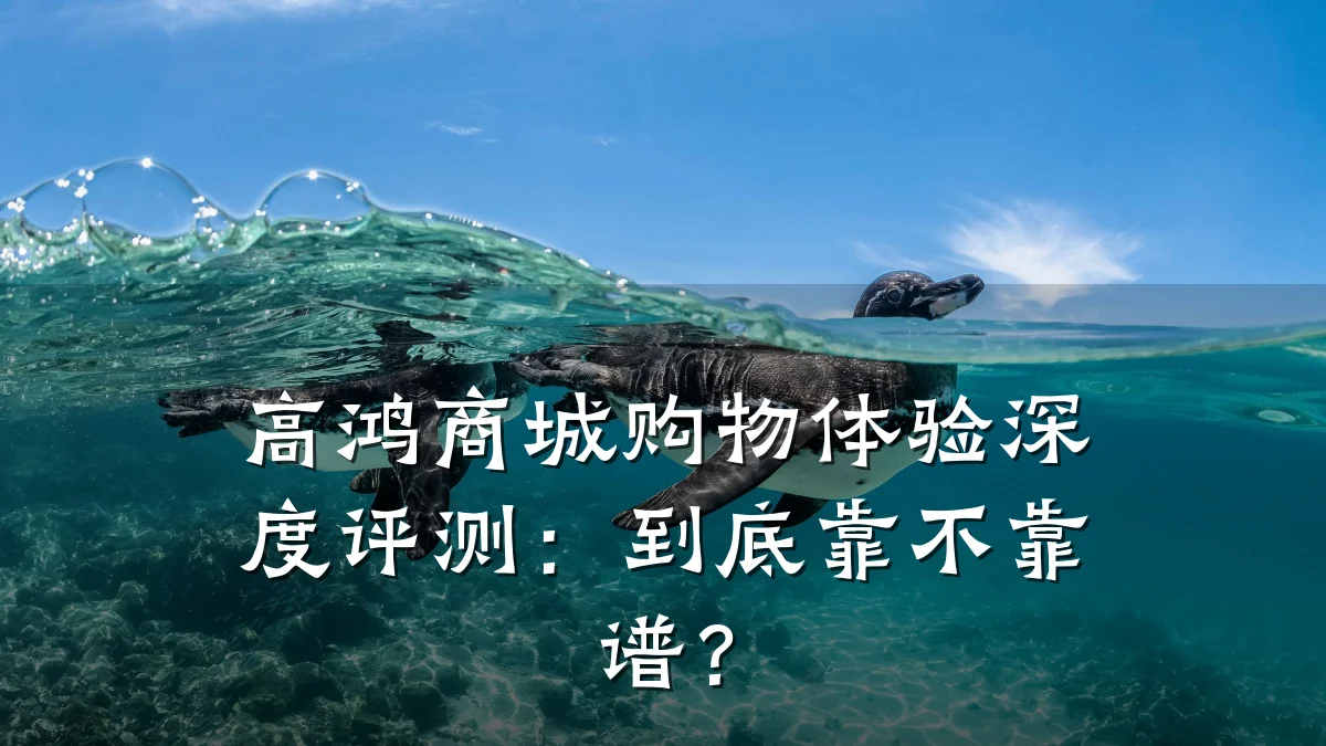 高鸿商城购物体验深度评测:到底靠不靠谱?